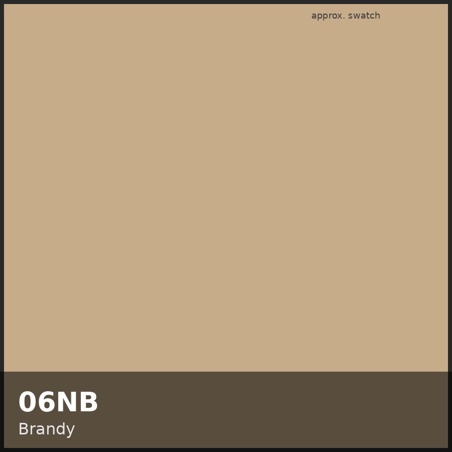 Approximate educational swatch for Shades EQ 06NB Brandy