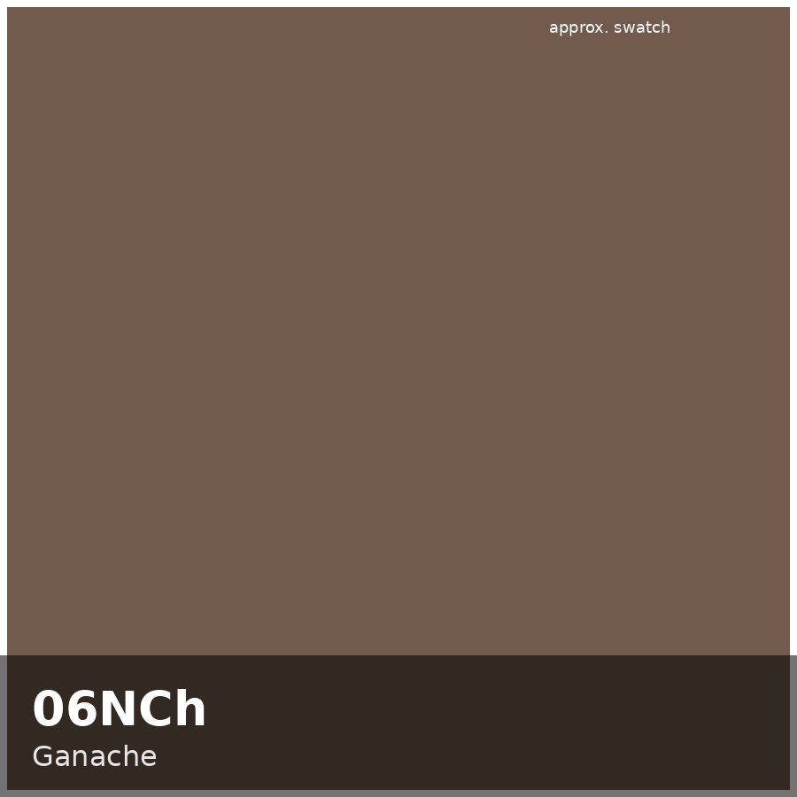 Approximate educational swatch for Shades EQ 06NCh Ganache