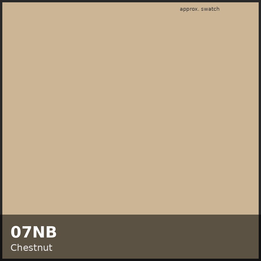 Approximate educational swatch for Shades EQ 07NB Chestnut